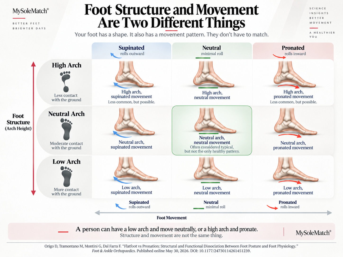 Two-axis diagram showing foot structure (arch height) on one axis and foot movement (pronation/supination) on the other, demonstrating they are independent variables